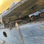 Mini pelle Komatsu PC16 R-3HS diesel 1.77T – Image 34